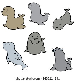 vector set of sea lion cartoon