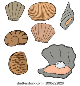 vector set of sea shell
