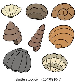 Vector Set Sea Shell Stock Vector (Royalty Free) 1249991047 | Shutterstock