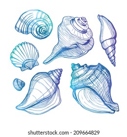Vector set with sea shell isolated on white. Vector illustration. Watercolor.