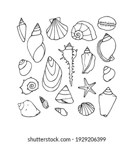 Vector set with sea shells.