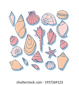 Vector set with sea shells.