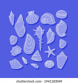 Vector set with sea shells.