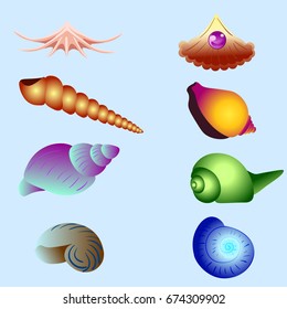 Vector set of sea shells isolated