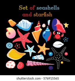 Vector set of sea shells and starfish on a dark background