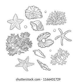 Vector set sea shells stars corals and pearls different shapes. Clamshells starfishes polyps monochrome black outline sketch illustration on white background for design marine tourist cards logos.