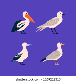 Vector set of seabirds in a flat style isolated on background. Atlantic seabirds