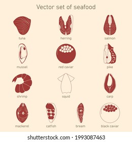 Vector set of seafood. Collection of icons tuna, herring, salmon, mussel, red caviar, pike, shrimp, squid, carp, mackerel, catfish, bream, black caviar.