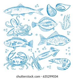 Vector set. Seafood crab, lobster, shrimp, fish, oysters, octopus, squid, mussels salmon Illustration vintage style Templates for design sea shops restaurants markets