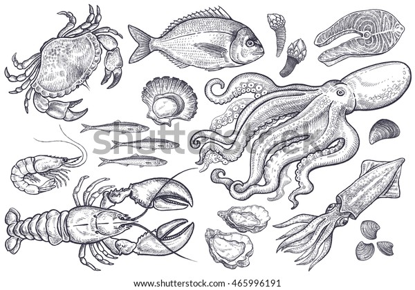 Vector set. Seafood crab, lobster, shrimp, fish,
anchovies, oysters, scallops, octopus, squid, mussels, salmon.
Illustration vintage style. Templates for design sea shops,
restaurants, markets.