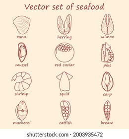 Vector set of seafood. Line icons of tuna, herring, salmon, mussel, red caviar, pike, shrimp, squid, carp, mackerel, catfish, bream, black caviar.