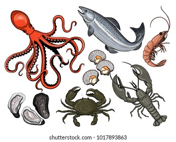 Vector set. Seafood. Oyster, sea scallop, crab, shrimp, lobster, Octopus, squid, fish. Vector illustration. Vintage style.Templates for design sea shops, restaurants, markets.