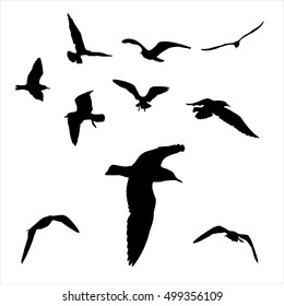 Vector set - seagull silhouette on white background collection.