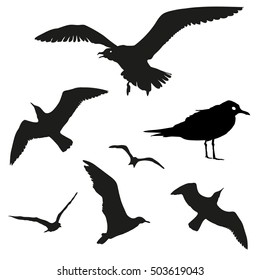Vector set - seagull silhouette on white background