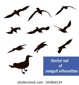 Vector set of seagull silhouettes isolated on white