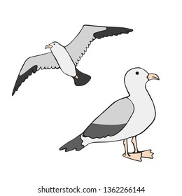 Vector set of seagulls in a hand drawn style, seagulls isolated on white background. Sea Gull, a beautiful bird. Cute bird in cartoon style. Cartoon atlantic seabird.
