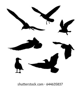 Vector set of seagulls silhouettes isolated on white background. 