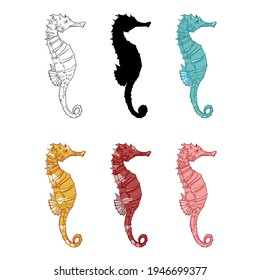 Vector Set of Seahorse Illustrations. Sketch, Silhouette and Cartoon Color Variations.