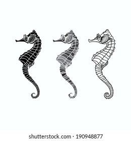  Vector set of seahorse on a white background