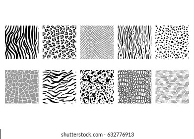 vector set of seamless black and white animal patterns. EPS