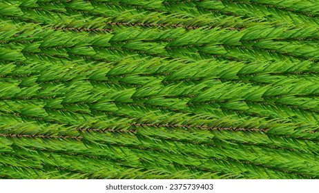 Vector set of seamless decorative borders with green coniferous branches - christmas decorative element. Great for christmas cards, banners, flyers, party posters, headers.