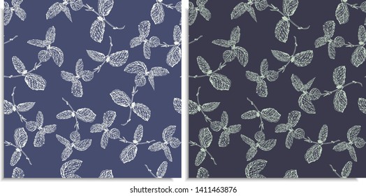 A vector set of a seamless pattern with sprigs of jungles leaves. Hand-drawn on sheet at the graphic style. Only lines, compound path, good for make new brush. Different colors, monstera, green shades