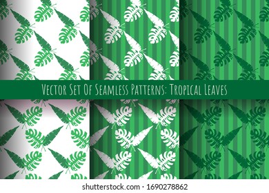 Vector set of seamless patterns made of tropical green leaves of monstera and banana palm and stripes in green and white colors. Endless exotic textures.
