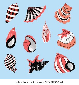 
vector set - seashells of different types and shapes. Stylish pastel palette. Seafood marine stickers. Beach and ocean recreation concept elements - shells. Contrasting shades.