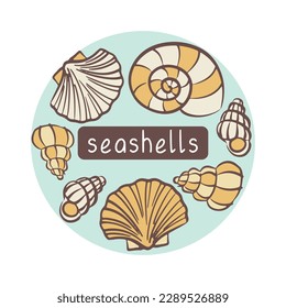 Vector set of seashells. Hand drawn illustration.