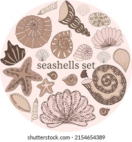 Vector set of seashells isolated in different sizes