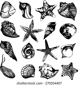 Vector set with seashells and starfish