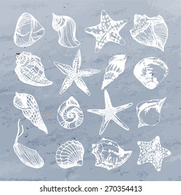 Vector set with seashells and starfish