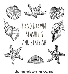 Vector set: Seashells, Starfish, marine life. Hand drawn sketch