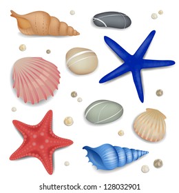 Vector Set of Seashells, Starfishes and Pebbles