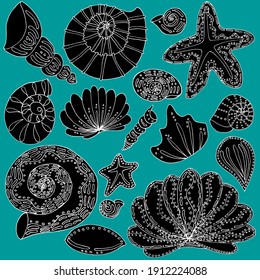 vector set seashells and stars hand drawing