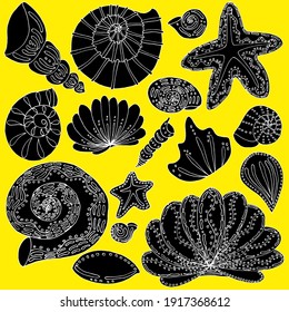 vector set seashells and stars hand drawing