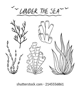 Vector set of seaweed and corals.