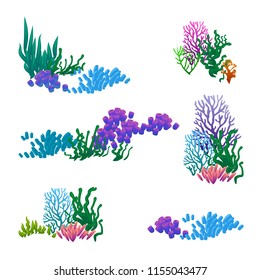 vector set of seaweed corals anemones