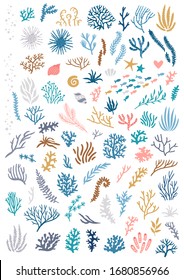 Vector set of seaweeds. Big collection of underwater plants. Isolated on white marine floral elements. Ocean floral elements. Coral reef illustration.