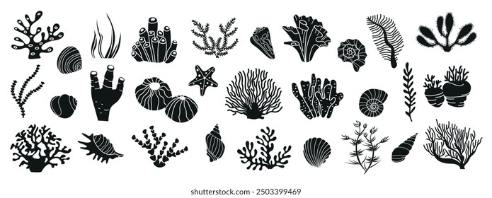 Vector set with seaweeds, corals and seashells. Underwater flora, ocean plants, seaweed. Black silhouettes of sea elements isolated on white. Set of tropical seabed vector elements.