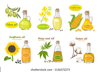 Conjunto vectorial de aceites de semillas aislados en blanco. Ilustración de estilo plano. Aceite de girasol, aceitunas, maíz, algodón, cáñamo y canola en frasco de vidrio. Flores y semillas.