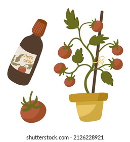 Vector set of seedlings tomatoes and garden tools. Cartoon objects isolated on the white background.