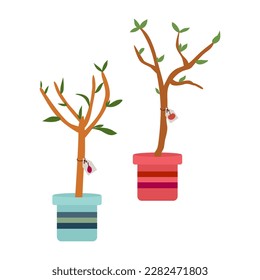 Conjunto vectorial de plántulas. Árboles frutales de jardín. Una ciruela joven y un manzano. Árboles en macetas para la siembra de primavera. Tema botánico. Fondo blanco aislado. 