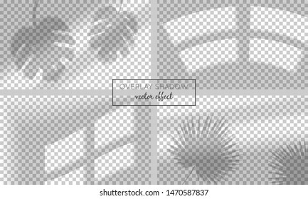 Vector set with shadow overlays  on transparent background. Organic and window frame shadows for natural light effects. Photo-realistic illustration with palm and monstera leaves