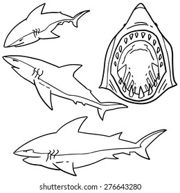 vector set of shark