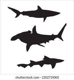 260 Giant hammerhead shark Images, Stock Photos & Vectors | Shutterstock