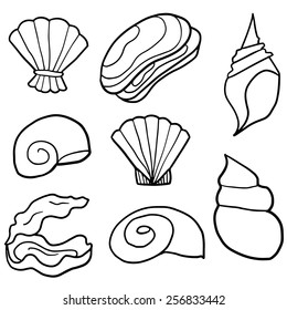 vector set of shell