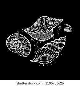 Vector set of shells in ethnic tribal boho style with ornament. Can be printed and used as coloring page, design element, template, etc.