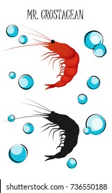 Vector set with shrimp. Clipart