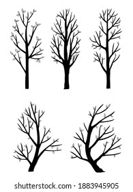 conjunto vectorial del árbol de vista lateral aislado en fondo blanco. Colección de árbol de ilustraciones dibujada a mano.